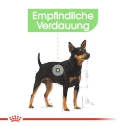 Royal Canin Mini Digestive Care Hundefutter -Spielzeug Pet royal canin mini digestive care hondenvoer 133040 1000 none