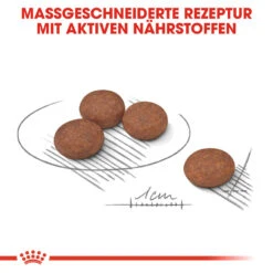 Royal Canin Mini Digestive Care Hundefutter -Spielzeug Pet royal canin mini digestive care hondenvoer 133058 1000 none