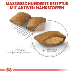 Royal Canin Mini Exigent Hundefutter -Spielzeug Pet royal canin mini exigent hondenvoer 133178 1000 none