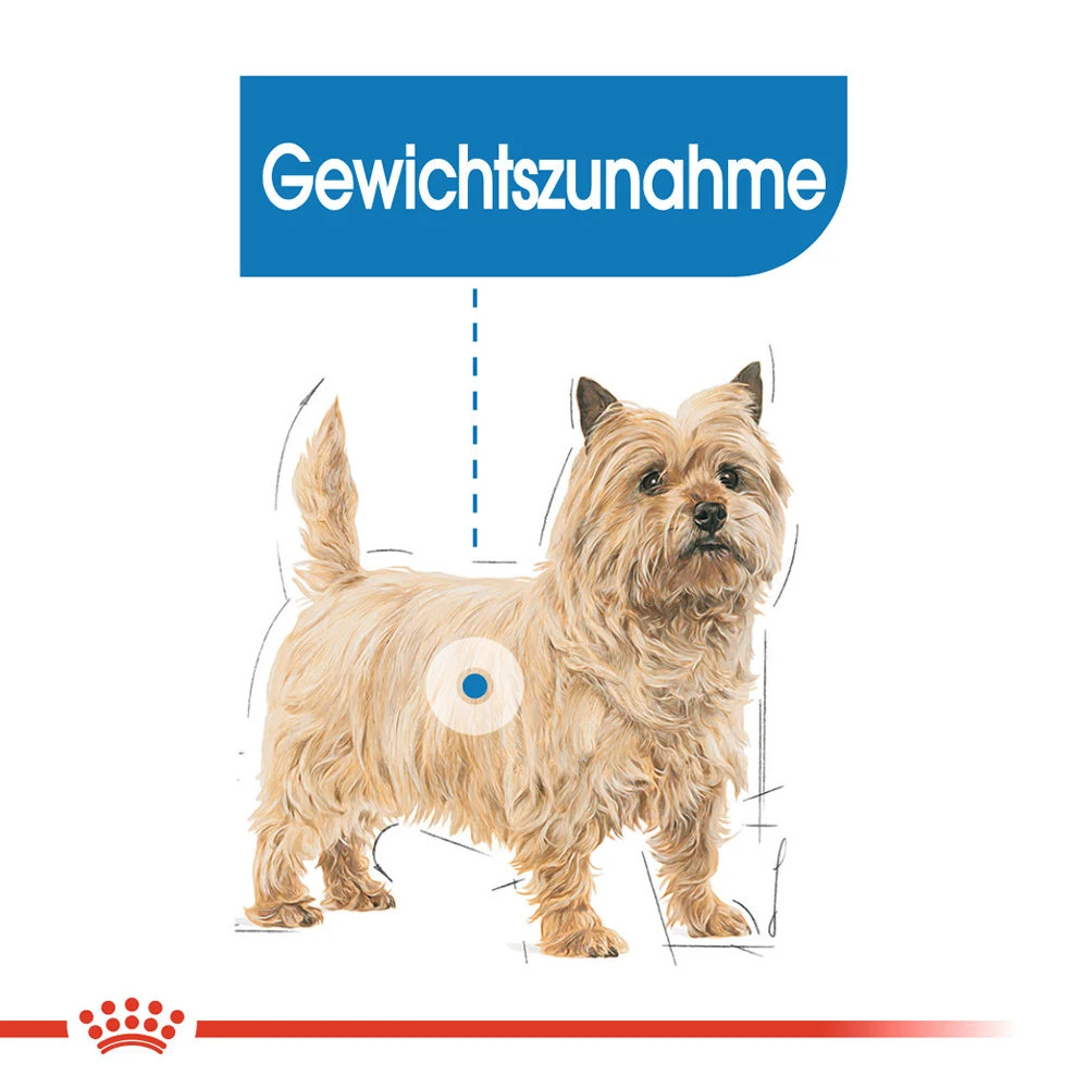 Royal Canin Mini Light Weight Care Hundefutter 3 Royal Canin Mini Light Weight Care Hundefutter – Bild 3