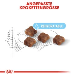 Royal Canin Mother & Babycat Katzenfutter -Spielzeug Pet royal canin mother babycat 118765 2000 none