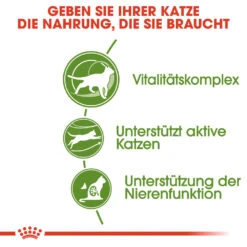 Royal Canin Outdoor 7+ Katzenfutter -Spielzeug Pet royal canin outdoor 7 kattenvoer 127445 1000 none