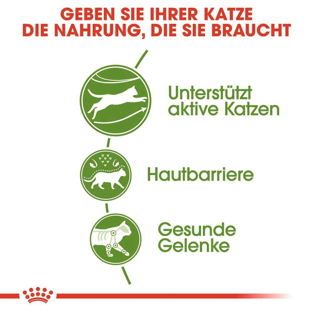 Royal Canin Outdoor Katzenfutter 5 Royal Canin Outdoor Katzenfutter – Bild 5