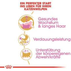 Royal Canin Persian Kitten Katzenfutter -Spielzeug Pet royal canin persian kitten 118107 2000 none
