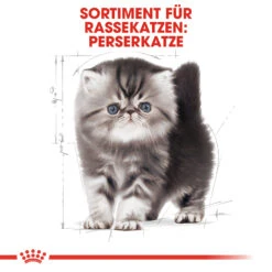Royal Canin Persian Kitten Katzenfutter -Spielzeug Pet royal canin persian kitten 118131 2000 none