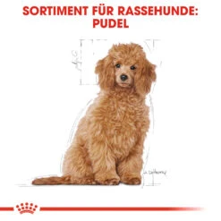 Royal Canin Poodle Puppy Hundefutter -Spielzeug Pet royal canin poodle puppy hondenvoer 139753 1000 none