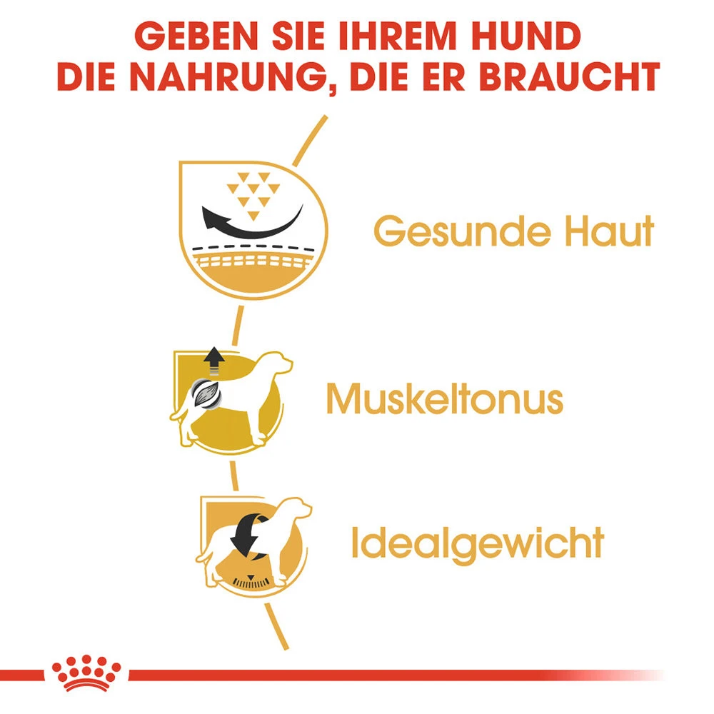 Royal Canin Pug Adult - Hundefutter 2 Royal Canin Pug Adult - Hundefutter – Bild 2