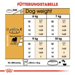 Royal Canin Pug Adult - Hundefutter 13 Royal Canin Pug Adult - Hundefutter -Spielzeug Pet royal canin pug adult hondenvoer 139834 1000 none
