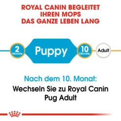 Royal Canin Pug Puppy - Hundefutter 13 Royal Canin Pug Puppy - Hundefutter -Spielzeug Pet royal canin pug puppy hondenvoer 139858 1000 none