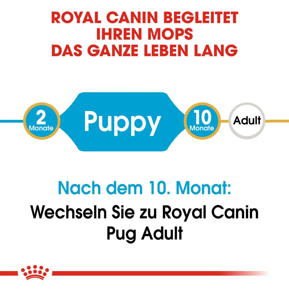Royal Canin Pug Puppy - Hundefutter 5 Royal Canin Pug Puppy - Hundefutter – Bild 5