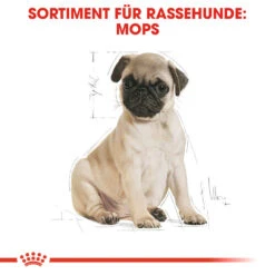 Royal Canin Pug Puppy - Hundefutter 12 Royal Canin Pug Puppy - Hundefutter -Spielzeug Pet royal canin pug puppy hondenvoer 139885 1000 none
