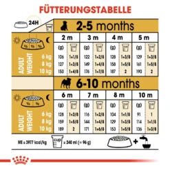 Royal Canin Pug Puppy - Hundefutter 15 Royal Canin Pug Puppy - Hundefutter -Spielzeug Pet royal canin pug puppy hondenvoer 139894 1000 none