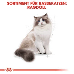 Royal Canin Ragdoll Adult - Katzenfutter -Spielzeug Pet royal canin ragdoll adult kattenvoer 125087 1000 none