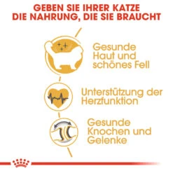 Royal Canin Ragdoll Adult - Katzenfutter -Spielzeug Pet royal canin ragdoll adult kattenvoer 125105 1000 none