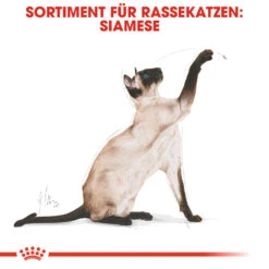Royal Canin Siamese Adult Katzenfutter -Spielzeug Pet royal canin siamese adult kattenvoer 125147 1000 none