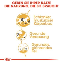 Royal Canin Siamese Adult Katzenfutter -Spielzeug Pet royal canin siamese adult kattenvoer 140639 1000 none