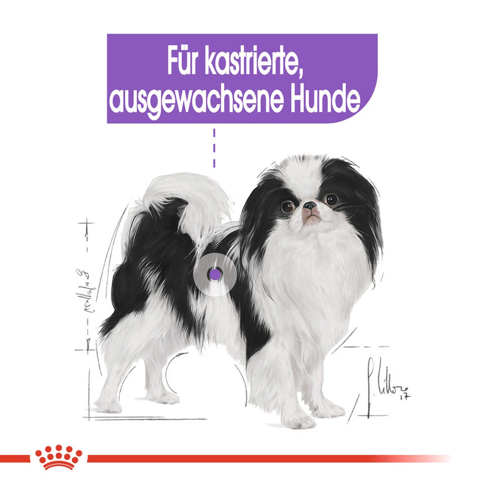 Royal Canin X-Small Sterilised Hundefutter 3 Royal Canin X-Small Sterilised Hundefutter – Bild 3