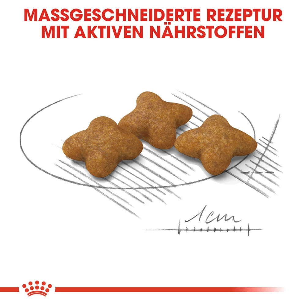 Royal Canin X-Small Sterilised Hundefutter 2 Royal Canin X-Small Sterilised Hundefutter – Bild 2