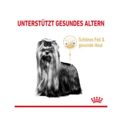 Royal Canin Yorkshire Terrier Adult 8+ - Hundefutter -Spielzeug Pet royal canin yorkshire terrir adult 8 165217 2000 none