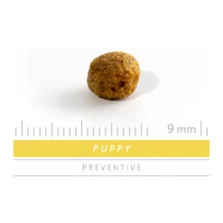 Sanimed Puppy Hundefutter 8 Sanimed Puppy Hundefutter -Spielzeug Pet sanimed puppy 159224 1500 none