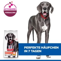 Hill's Science Plan Adult Perfect Digestion Large Breed 13 Hill's Science Plan Adult Perfect Digestion Large Breed -Spielzeug Pet tAB65C8gmOG05HYYNnraVdGi3UNskq metaNTI3NDIwNDQxNzBfMl9ERV81MDAuSlBH