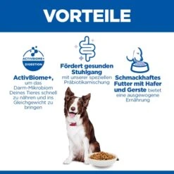 Hill's Science Plan Adult Perfect Digestion Medium -Spielzeug Pet tBGYPb0AMQACe2WusF5zaJfTKIpY8r metaNTI3NDIwNDQxMzJfM19ERV81MDAuSlBH