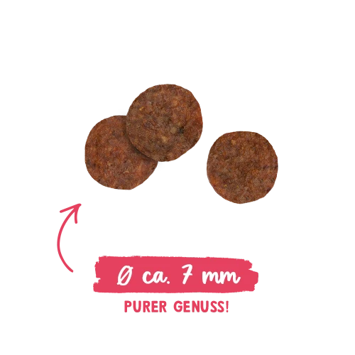 Sanabelle Adult - Huhn 2 Sanabelle Adult - Huhn – Bild 2