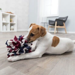 Trixie Dog Activity Schnüffelball -Spielzeug Pet trixie dog activity snuffelbal 180751 1500 none