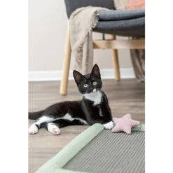 Trixie Junior Kratzmatte 8 Trixie Junior Kratzmatte -Spielzeug Pet trixie junior krabmat 221246 0500 none