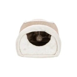Trixie Kratztunnel Für Katzen -Spielzeug Pet trixie krabtunnel voor katten 220123 1000 none