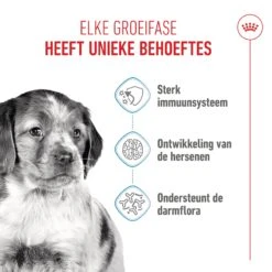 Royal Canin Puppy Medium Hundefutter 8 Royal Canin Puppy Medium Hundefutter -Spielzeug Pet tuLWjvczyVo2EBS37GQZkbt3tPqTA8 metaMzE4MjU1MDQwMjEzMl9OTF8yLmpwZWc