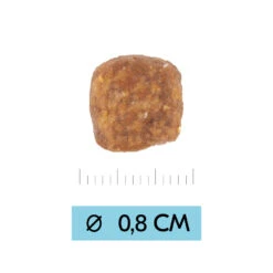 Vetality Puppy Medium - Hundefutter 10 Vetality Puppy Medium - Hundefutter -Spielzeug Pet uNTw2ZGo4myhNZEEI9XU9IszmoMXxU metaUHVwcHktTWVkaXVtLUJyb2suanBn