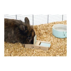 Beeztees Braingame Dorix -Spielzeug Pet uiczGlWzVLb8zlwXPo7QGCPDHas6xS metaQnJhaW5nYW1lLURvcml4LS5qcGc