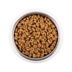 Vetality Adult - Katzenfutter 10 Vetality Adult - Katzenfutter -Spielzeug Pet vetality adult kattenvoer 216505 1000 none