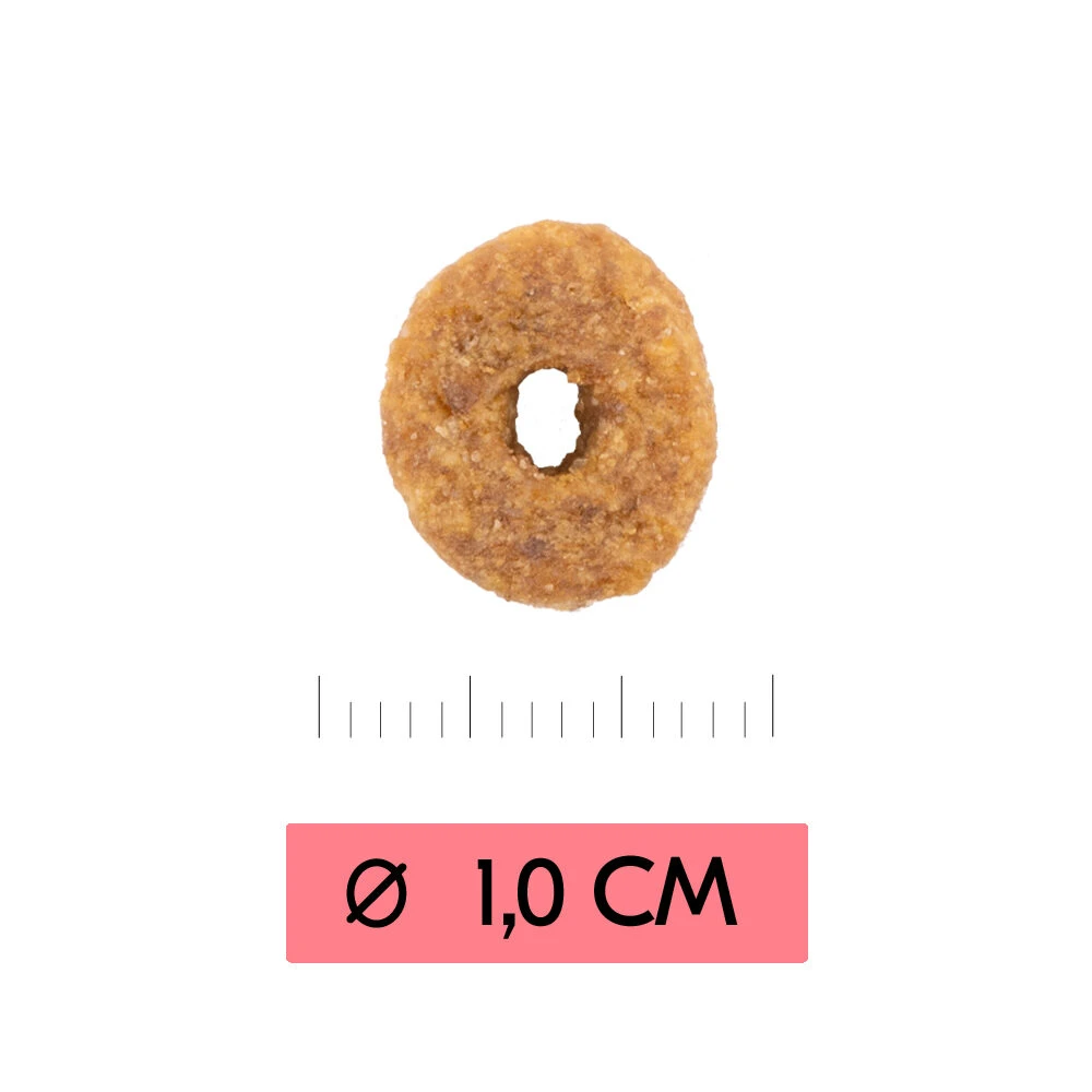 Vetality Adult - Katzenfutter 4 Vetality Adult - Katzenfutter – Bild 4