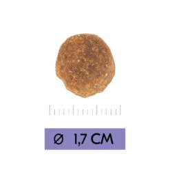 Vetality Adult Maxi - Hundefutter 9 Vetality Adult Maxi - Hundefutter -Spielzeug Pet vetality adult maxi hondenvoer 213656 1000 none