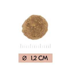 Vetality Gastrointestinal Low Fat- Hundefutter -Spielzeug Pet vetality gastrointestinal low fat hondenvoer 195467 1000 none