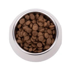 Vetality Hypoallergenic - Hundefutter -Spielzeug Pet vetality hypoallergenic hondenvoer 182065 2000 none