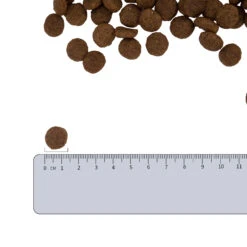 Vetality Hypoallergenic - Hundefutter -Spielzeug Pet vetality hypoallergenic hondenvoer 182338 2000 none