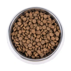 Vetality Hypoallergenic - Hundefutter -Spielzeug Pet vetality hypoallergenic hondenvoer 195278 1000 none
