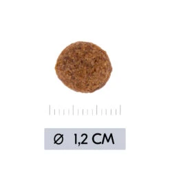 Vetality Hypoallergenic - Hundefutter -Spielzeug Pet vetality hypoallergenic hondenvoer 195473 1000 none