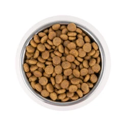 Vetality Puppy Maxi - Hundefutter -Spielzeug Pet vetality puppy maxi hondenvoer 213665 2000 none