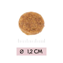 Vetality Puppy Maxi - Hundefutter -Spielzeug Pet vetality puppy maxi hondenvoer 213668 1000 none