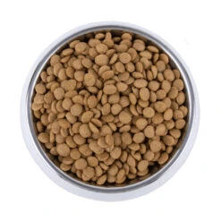 Vetality Skin Support - Hundefutter 10 Vetality Skin Support - Hundefutter -Spielzeug Pet vetality skin support hondenvoer 195221 1000 none