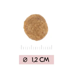 Vetality Skin Support - Hundefutter 9 Vetality Skin Support - Hundefutter -Spielzeug Pet vetality skin support hondenvoer 195452 1000 none