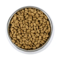 Vetality Weight Management - Hundefutter 12 Vetality Weight Management - Hundefutter -Spielzeug Pet vetality weight management hondenvoer 195227 1000 none