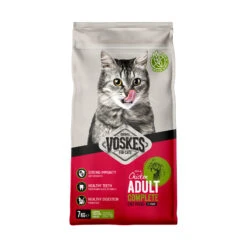 Voskes Adult Katzenfutter - Huhn 6 Voskes Adult Katzenfutter - Huhn -Spielzeug Pet voskes adult kattenvoer kip 229901 2000 none