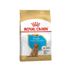 Royal Canin Poodle Puppy Hundefutter