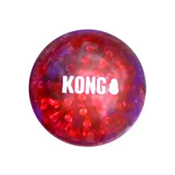 Kong Squeezz Geodz 2er-Pack